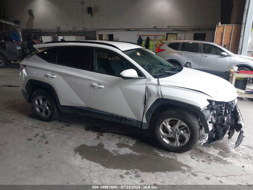 2024 Hyundai Tucson Sel VIN: 5NMJBCDEXRH328299 Lot: 39901690