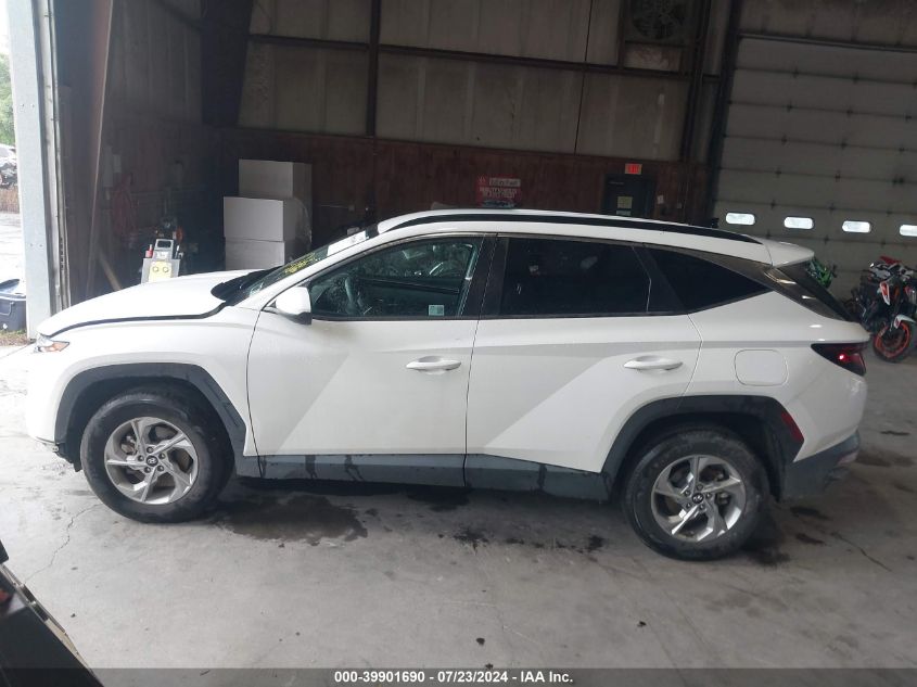 2024 Hyundai Tucson Sel VIN: 5NMJBCDEXRH328299 Lot: 39901690