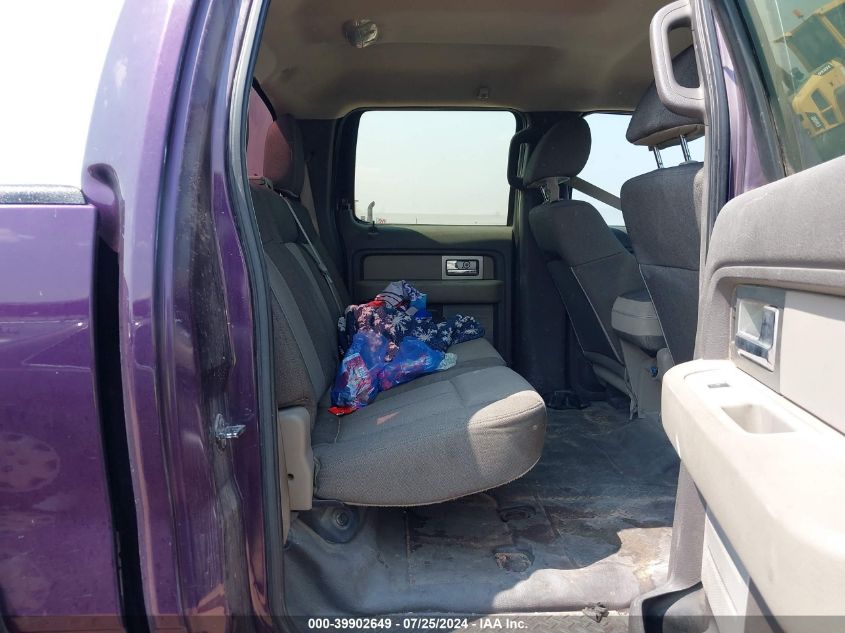 2010 Ford F-150 Xl/Xlt VIN: 1FTEW1E8XAFA98901 Lot: 39902649