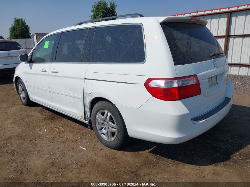 2005 Honda Odyssey Ex VIN: 5FNRL38485B402901 Lot: 39903736