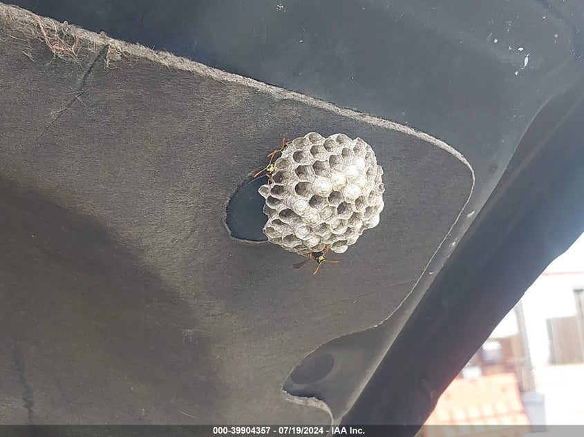 2006 Ford Expedition Eddie Bauer VIN: 1FMFU18516LA17462 Lot: 39904357