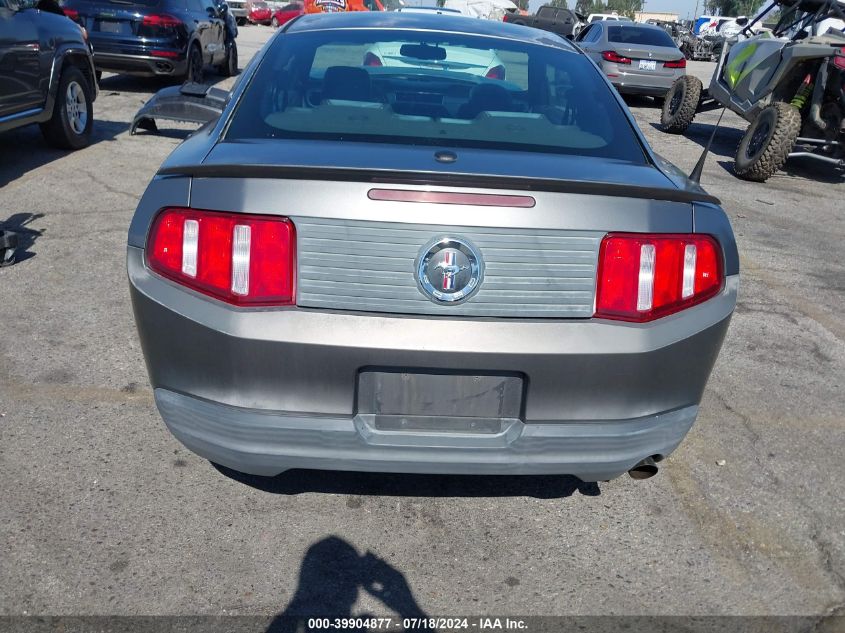 2010 Ford Mustang V6/V6 Premium VIN: 1ZVBP8AN2A5154854 Lot: 39904877