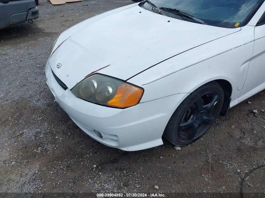 2003 Hyundai Tiburon Gt V6 VIN: KMHHN65F83U076255 Lot: 39904892