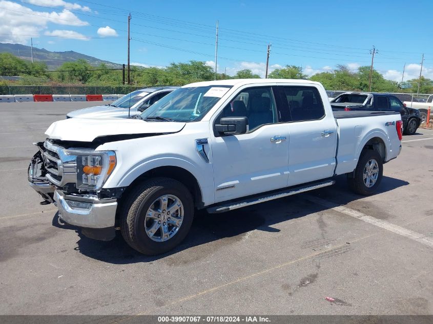 1FTFW1ED7PFC90139 2023 FORD F-150 - Image 2