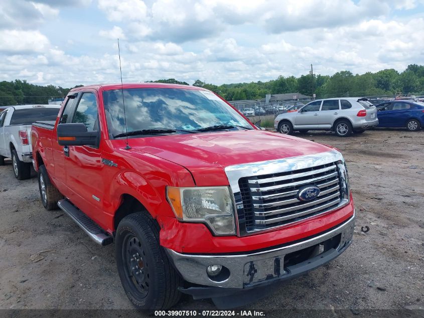 2011 Ford F-150 Xlt VIN: 1FTFX1CT6BFD00711 Lot: 39907510