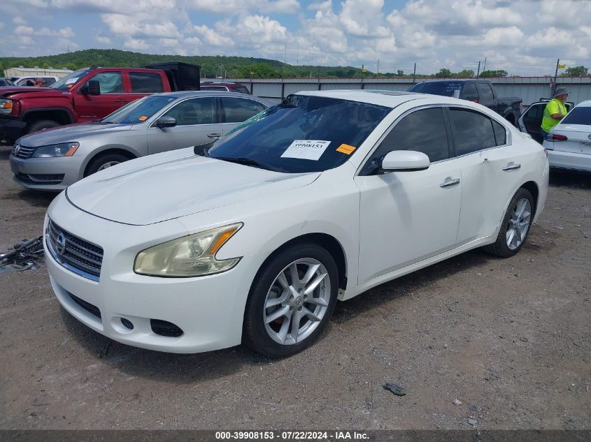 1N4AA5AP3BC836984 2011 Nissan Maxima 3.5 S