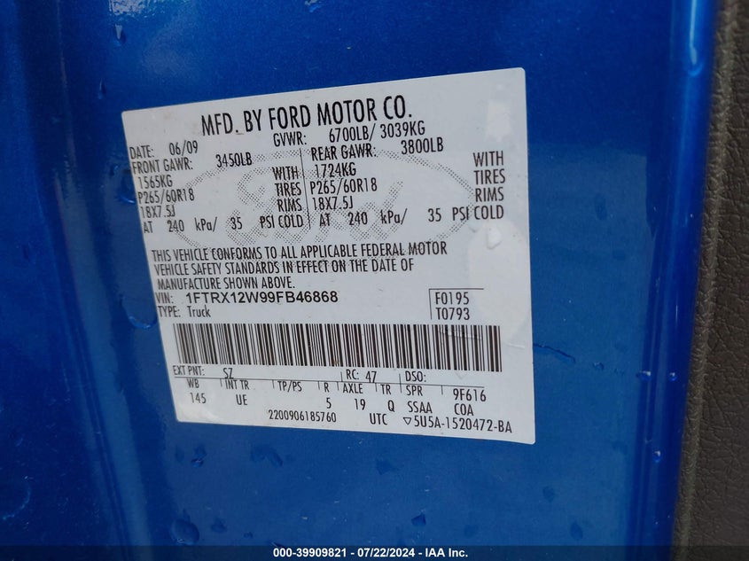 2009 Ford F-150 Stx/Xl VIN: 1FTRX12W99FB46868 Lot: 39909821