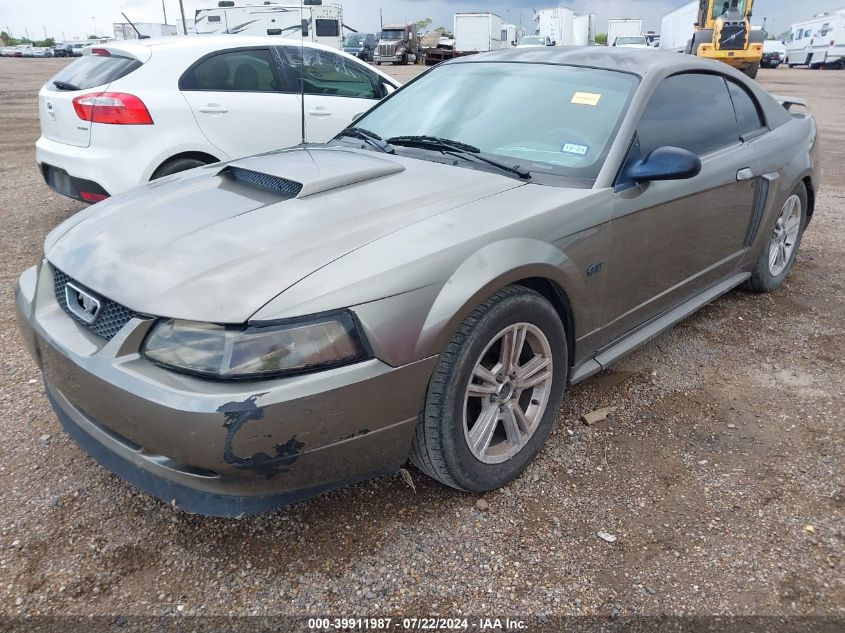 2002 Ford Mustang Gt VIN: 1FAFP42X82F153027 Lot: 39911987