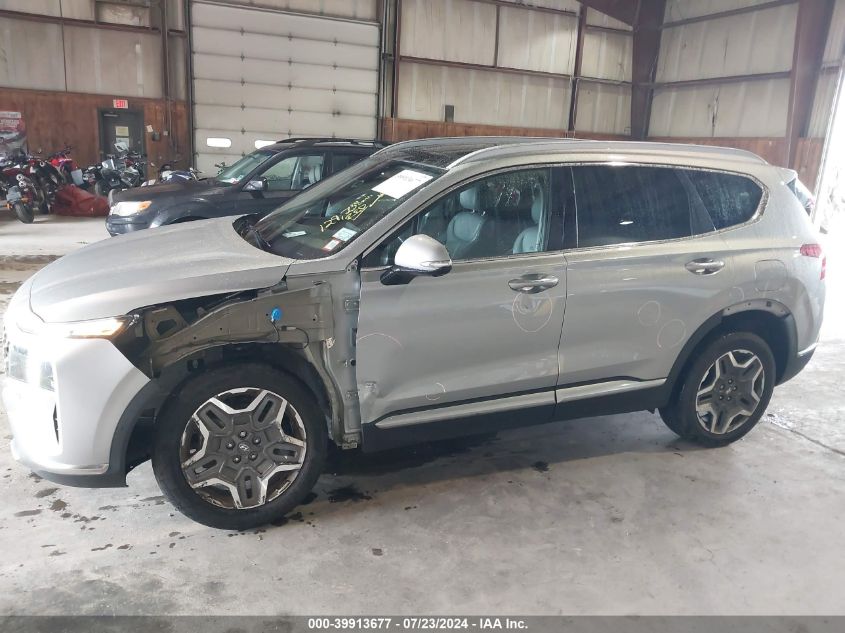 2023 Hyundai Santa Fe Limited VIN: 5NMS4DAL9PH486136 Lot: 39913677