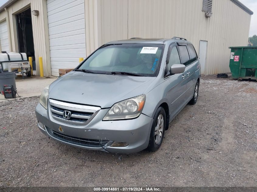 2006 Honda Odyssey Touring VIN: 5FNRL38826B081037 Lot: 39914881