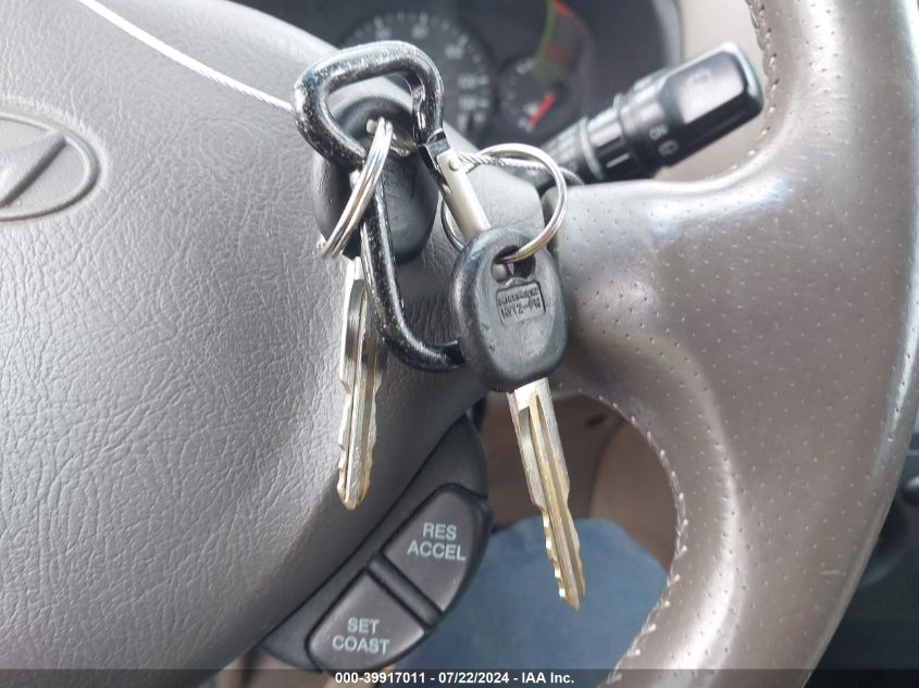 2004 Hyundai Santa Fe Gls VIN: KM8SC13D54U757507 Lot: 39917011