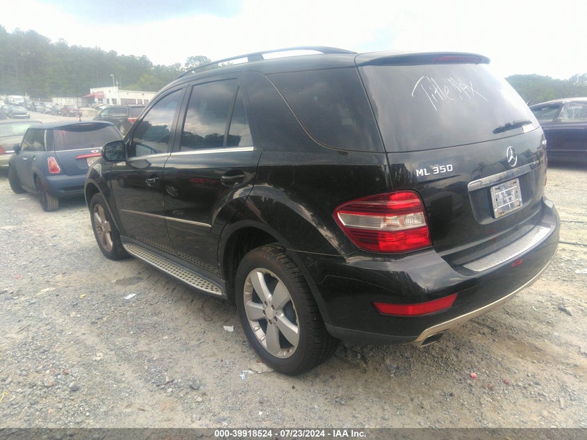 2010 Mercedes-Benz Ml 350 4Matic VIN: 4JGBB8GBXAA560690 Lot: 39918524