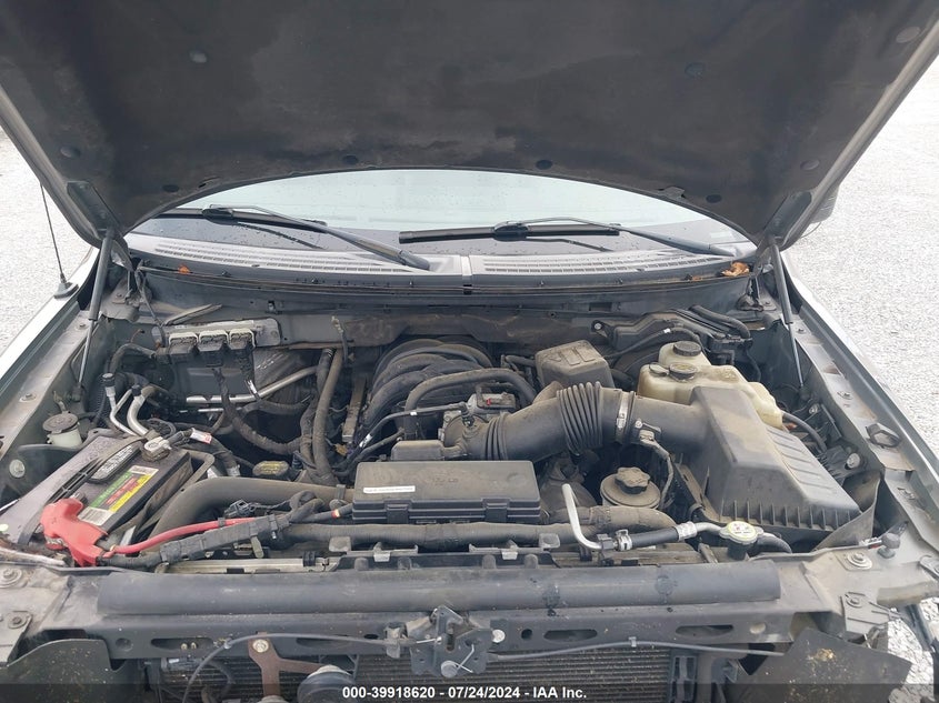 2010 Ford F-150 Xl/Xlt VIN: 1FTEW1E8XAFC08989 Lot: 39918620