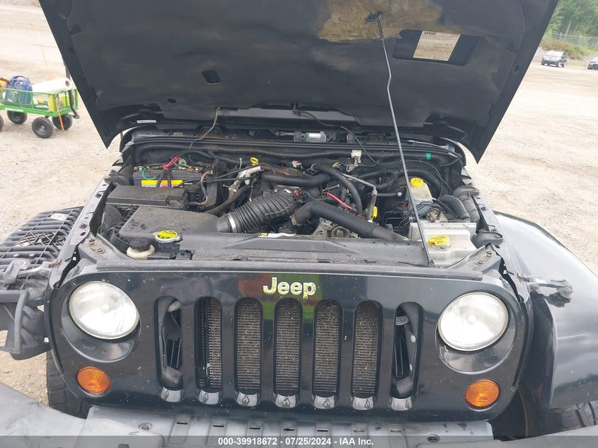 2007 Jeep Wrangler Unlimited Sahara VIN: 1J8GA59177L197173 Lot: 39918672