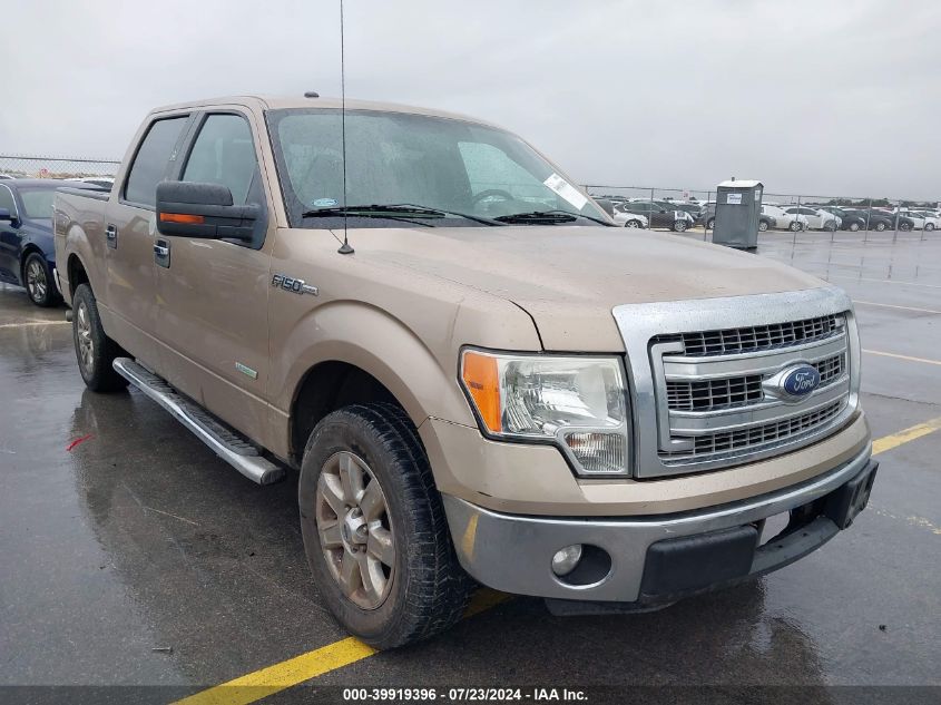 2013 FORD F-150 XLT - 1FTFW1CT0DKG07207