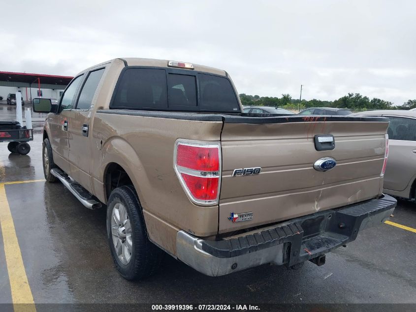 2013 FORD F-150 XLT - 1FTFW1CT0DKG07207