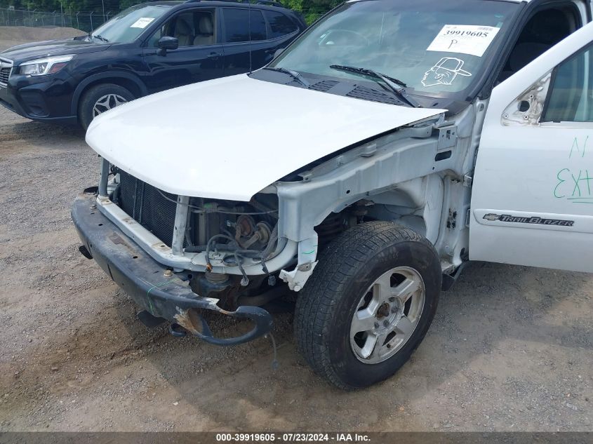 2002 Chevrolet Trailblazer Ls VIN: 1GNDT13SX22363819 Lot: 39919605