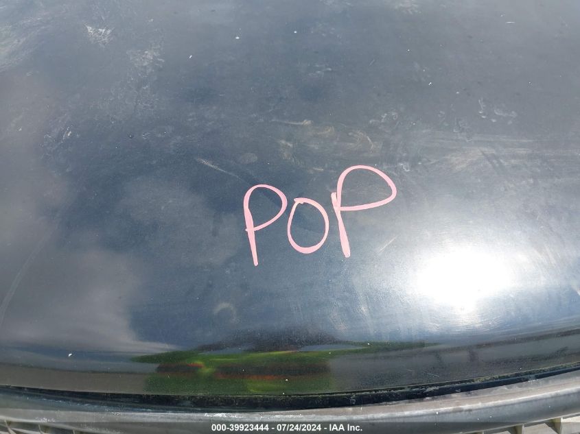 2000 Ford Expedition Eddie Bauer VIN: 1FMEU1760YLB54949 Lot: 39923444