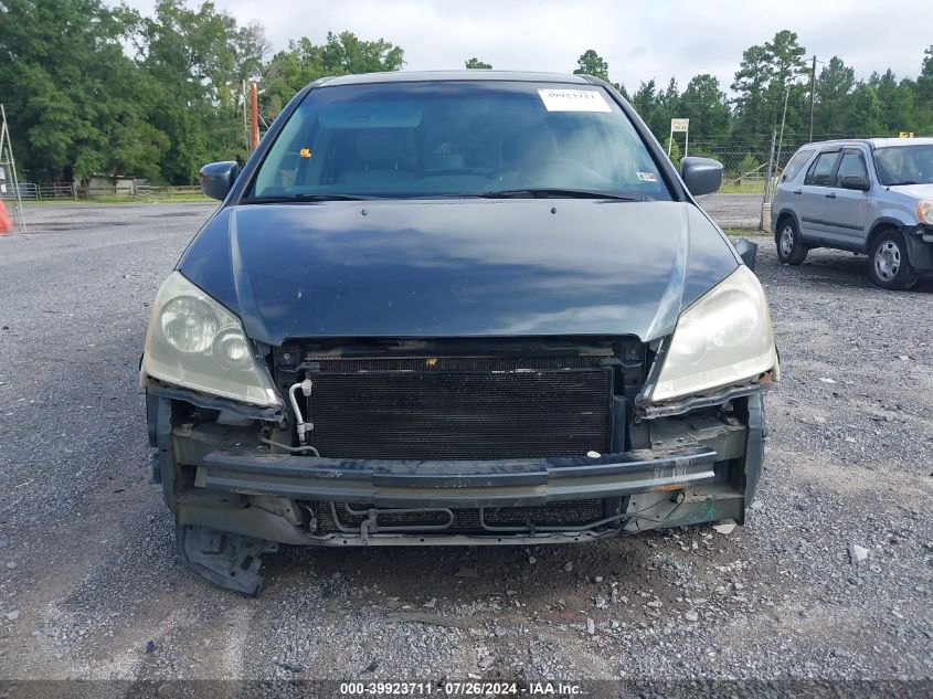 2005 Honda Odyssey Ex-L VIN: 5FNRL38755B128812 Lot: 39923711