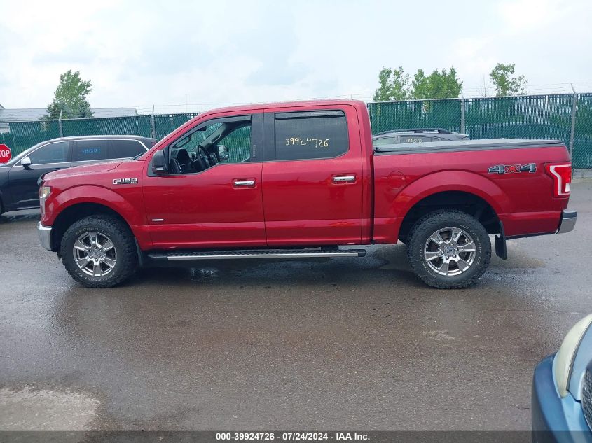 2016 Ford F-150 Xlt VIN: 1FTEW1EP3GFD08867 Lot: 39924726