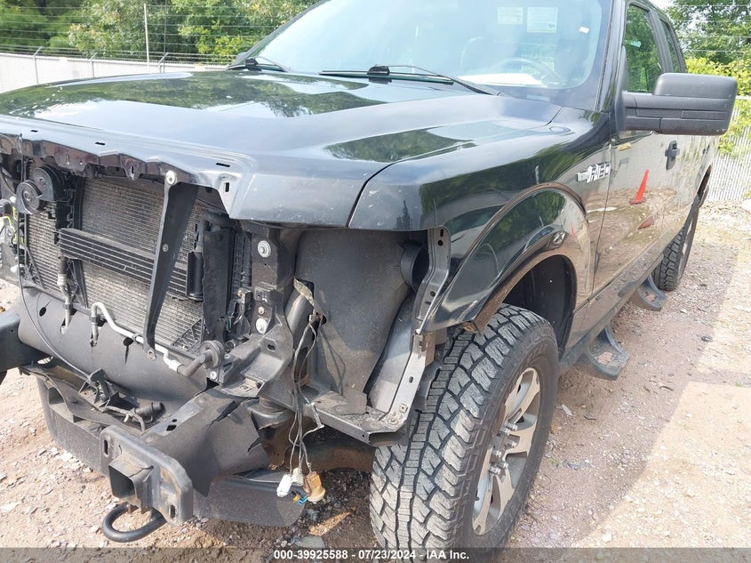 2012 Ford F-150 Stx VIN: 1FTFX1EF7CFC41256 Lot: 39925588