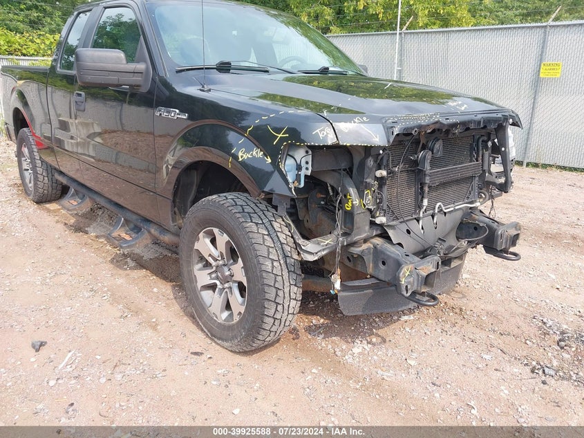 2012 Ford F-150 Stx VIN: 1FTFX1EF7CFC41256 Lot: 39925588