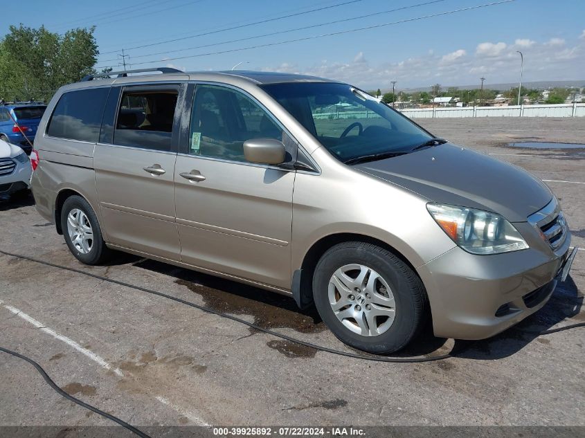 2005 Honda Odyssey Ex-L VIN: 5FNRL38655B417678 Lot: 39925892