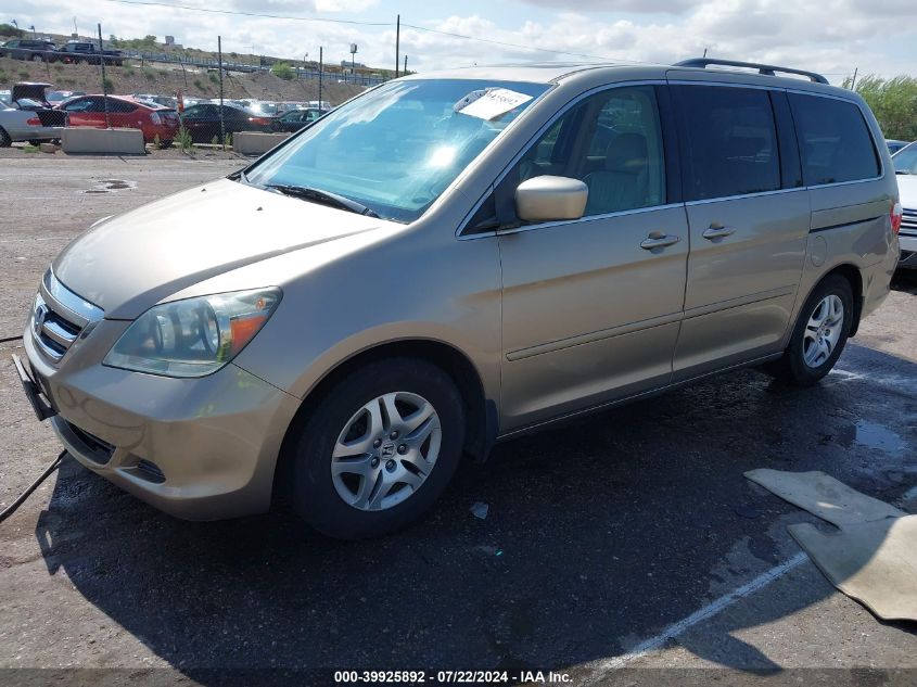 2005 Honda Odyssey Ex-L VIN: 5FNRL38655B417678 Lot: 39925892