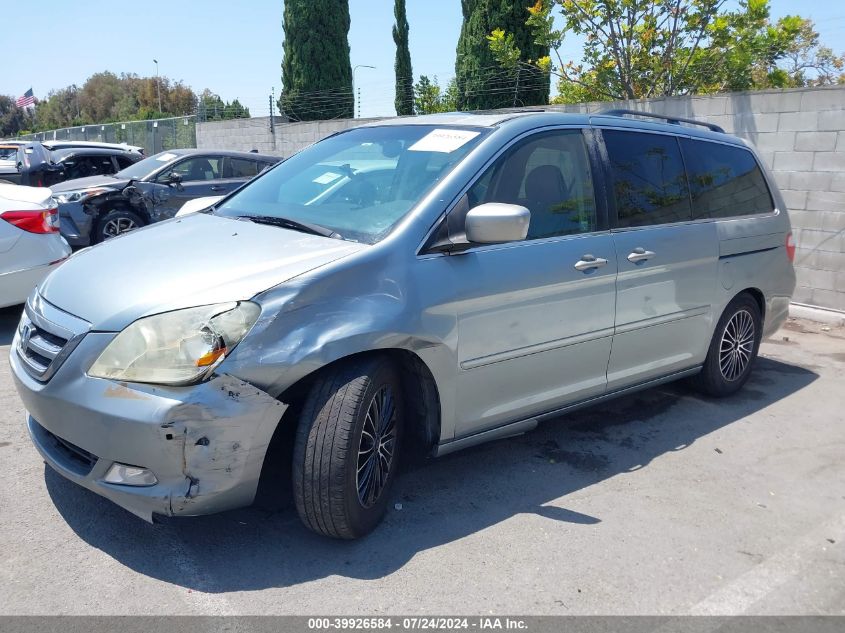 2005 Honda Odyssey Touring VIN: 5FNRL38855B123408 Lot: 39926584