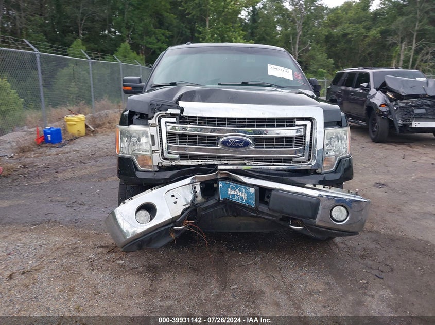 2013 Ford F-150 Xlt VIN: 1FTFX1EF0DFD00763 Lot: 39931142