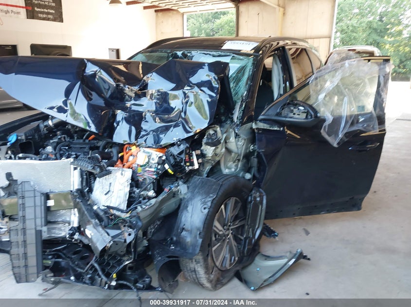 2024 HYUNDAI TUCSON HYBRID BLUE - KM8JBCD11RU212166