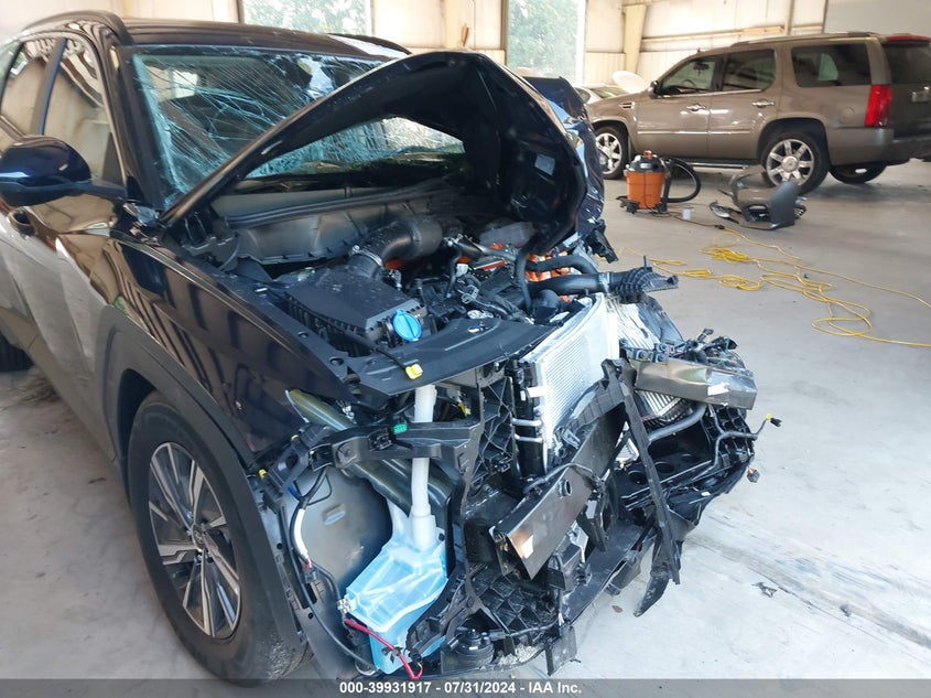 2024 HYUNDAI TUCSON HYBRID BLUE - KM8JBCD11RU212166