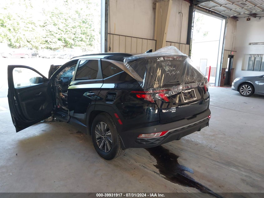 2024 HYUNDAI TUCSON HYBRID BLUE - KM8JBCD11RU212166