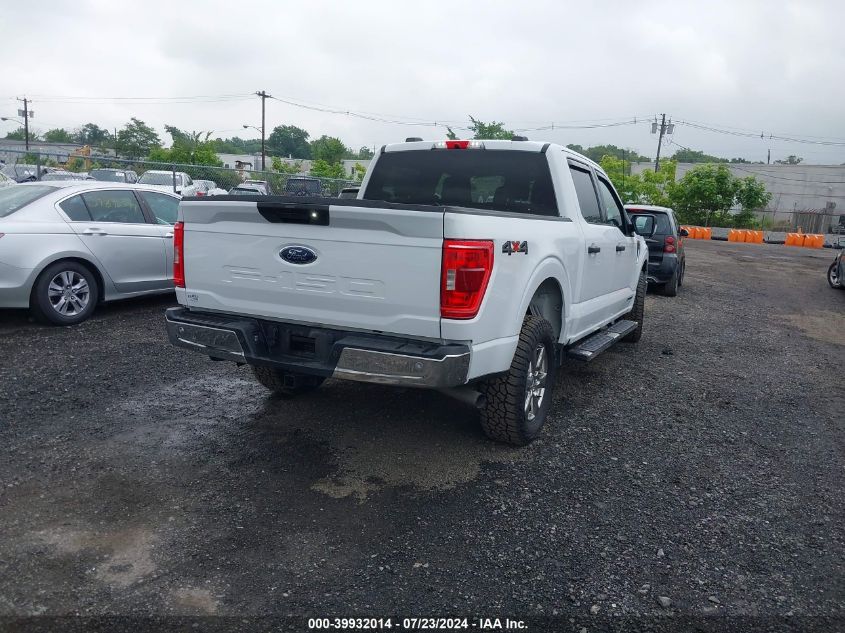 1FTFW1ED4PFA38994 | 2023 FORD F-150