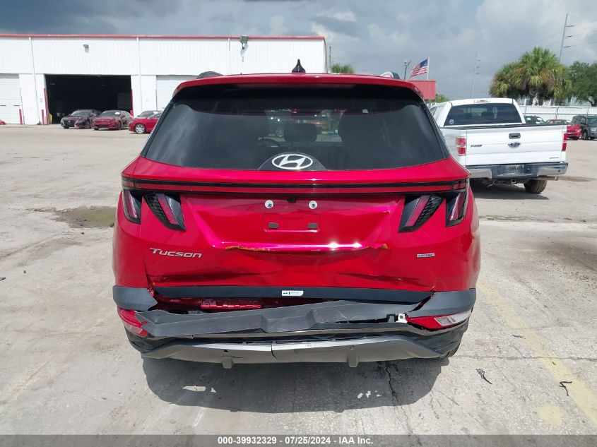 2023 Hyundai Tucson Limited VIN: 5NMJECAE1PH202812 Lot: 39932329