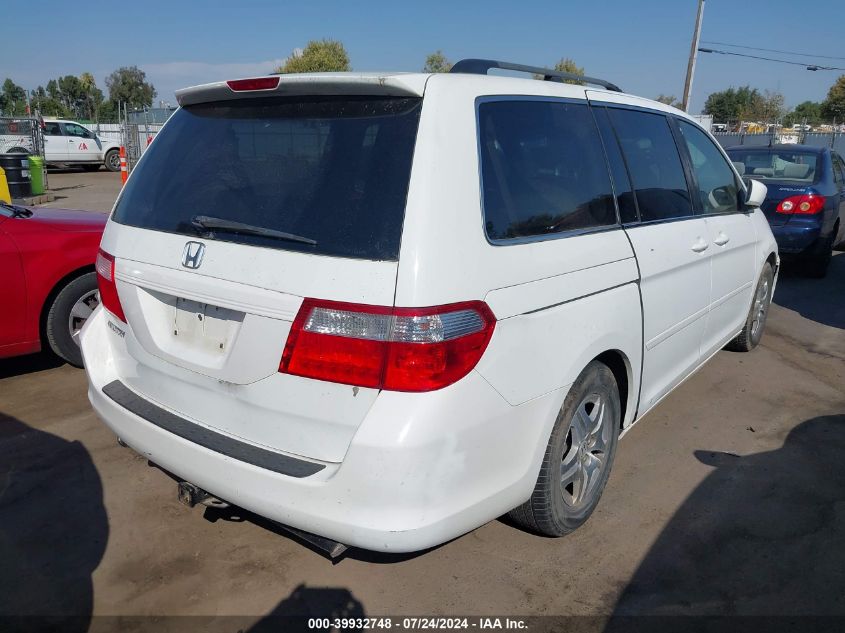 2007 Honda Odyssey Ex-L VIN: 5FNRL38707B143608 Lot: 39932748