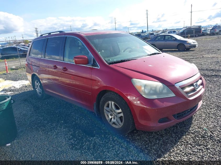 2006 Honda Odyssey Ex-L VIN: 5FNRL38646B038754 Lot: 39936279