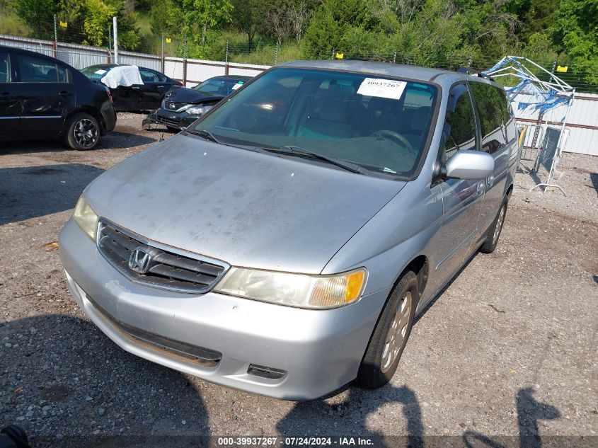 2003 Honda Odyssey Ex VIN: 5FNRL18613B111952 Lot: 40852383