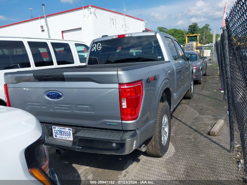 2023 FORD F-150 XLT - 1FTEW1EP4PKE65430