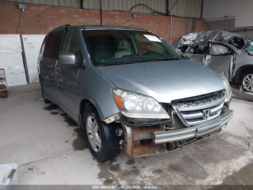 2007 Honda Odyssey Ex-L VIN: 5FNRL38667B080005 Lot: 39943407