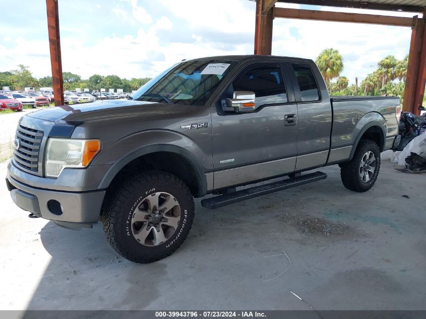 1FTFX1ET1BFB19139 | 2011 FORD F-150