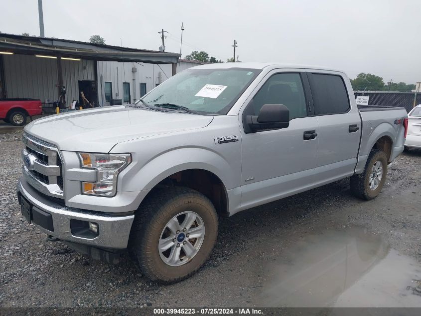 1FTEW1EG2HKD44610 2017 FORD F-150 - Image 2