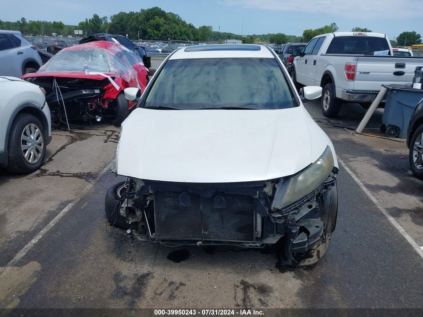 2010 Honda Accord Crosstour Ex-L VIN: 5J6TF2H55AL003543 Lot: 39950243