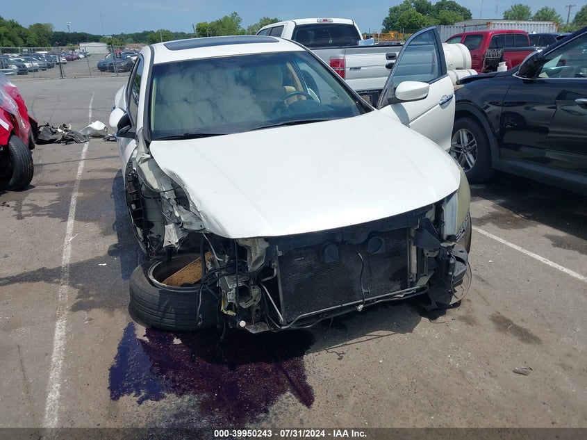 2010 Honda Accord Crosstour Ex-L VIN: 5J6TF2H55AL003543 Lot: 39950243