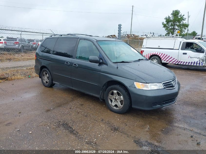 2004 Honda Odyssey Ex-L VIN: 5FNRL18944B005183 Lot: 39953029