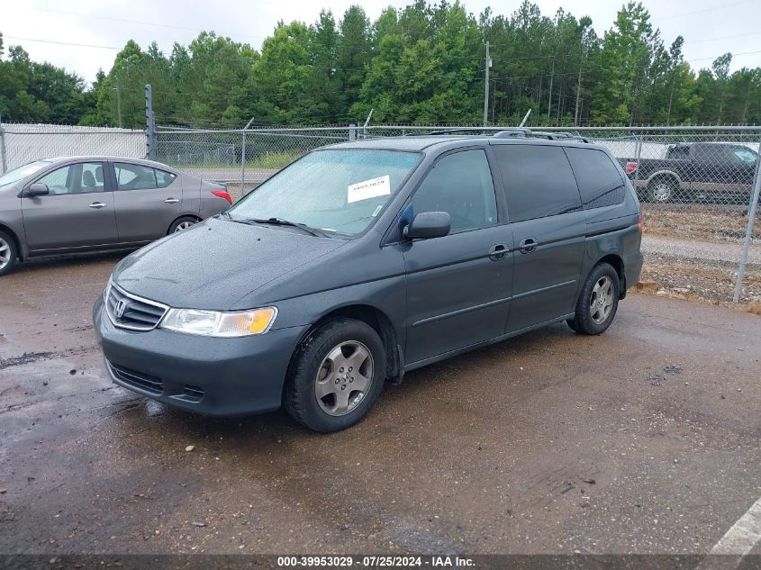 2004 Honda Odyssey Ex-L VIN: 5FNRL18944B005183 Lot: 39953029