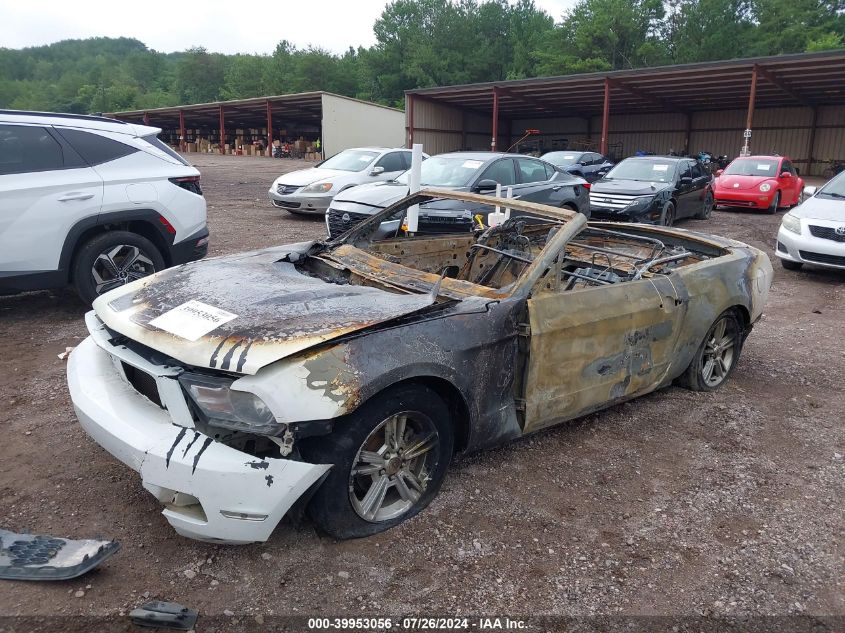 2010 Ford Mustang V6/V6 Premium VIN: 1ZVBP8EN7A5177900 Lot: 39953056