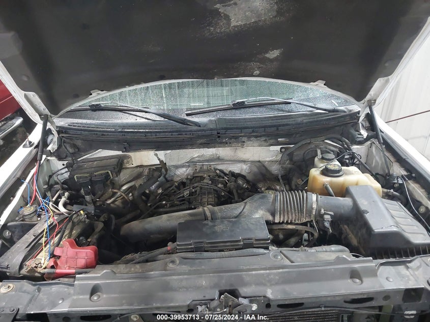 2011 Ford F-150 Xlt VIN: 1FTFW1ET1BFA65943 Lot: 39953713