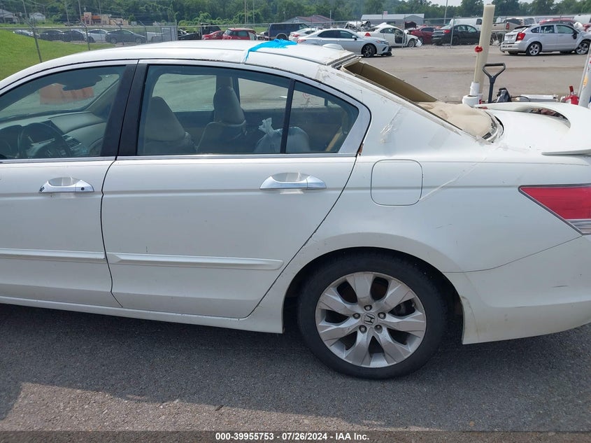 2010 Honda Accord Exl VIN: 5KBCP3F87AB013825 Lot: 39955753