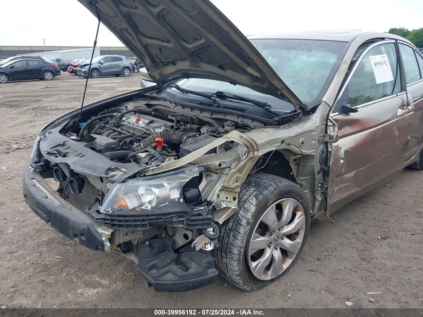 2010 Honda Accord Sdn 2.4 Ex-L/Ex-L VIN: 1HGCP2F80AA080205 Lot: 39956192